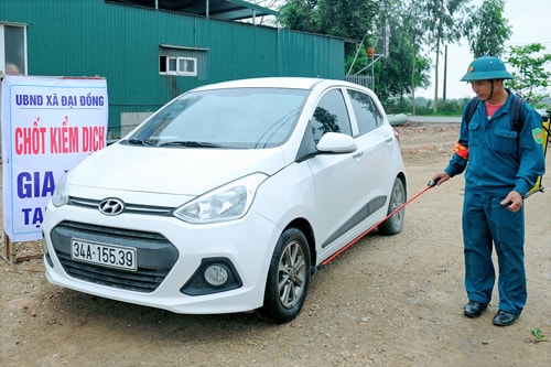 Xuất hiện ổ dịch tả lợn châu Phi ở xã Đại Đồng   